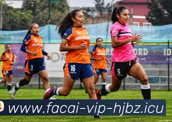 九游体育注册APP 体育赛事宣传图